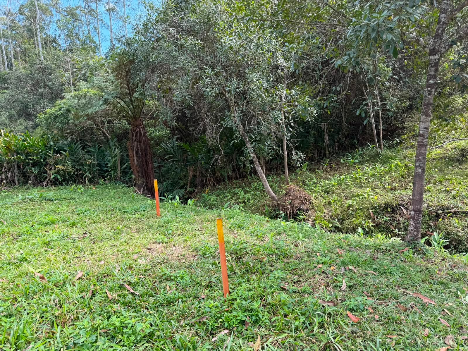 Piquetes de madeira pintados de laranja cravados no terreno, marcando vértices