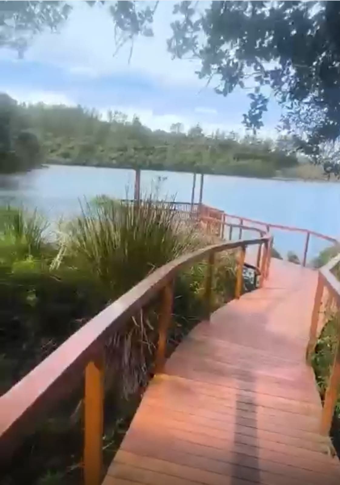 Deck de madeira contornando a margem, com o lago e a mata ao fundo